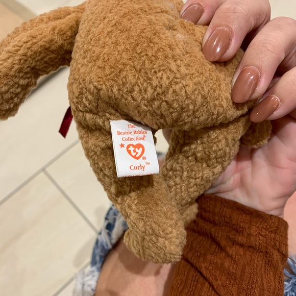 Rare Ty "Curly" Beanie Baby with multiple errors - Picture 5 of 8